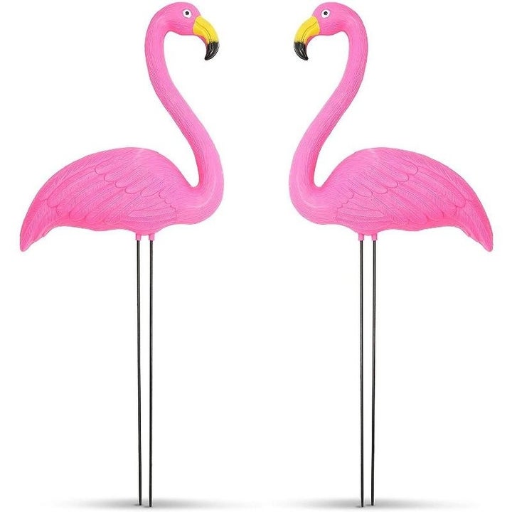 photo of the garden flamingos