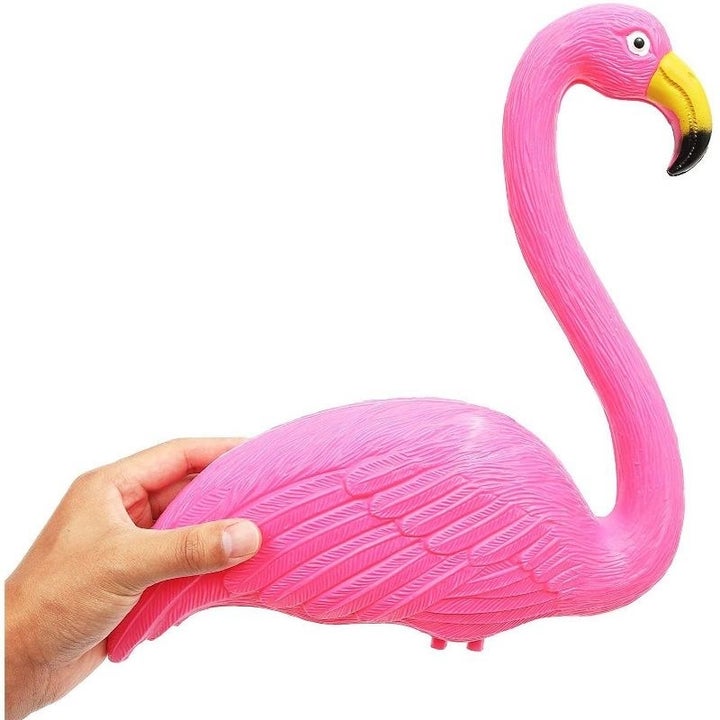 person holding the garden flamingo