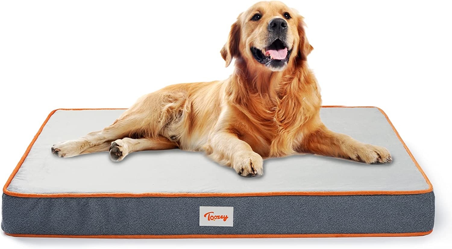 a golden retriever on a dog bed