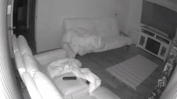 Another reviewer's photo of the camera feed at night showing living room