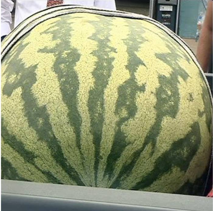 a huge watermelon
