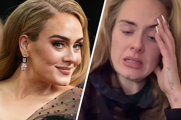Adele Couldn't Hide Her Horror After a Fan Put a Beauty Filter on