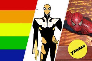 Web Weaver el spider man gay