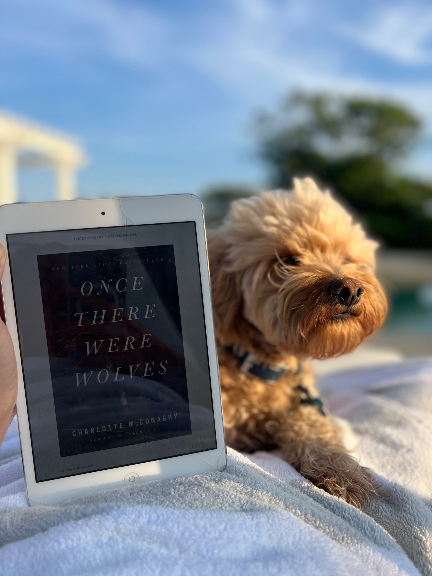 The cover of "Once There Were Wolves" by Charlotte McConaghy on a kindle.