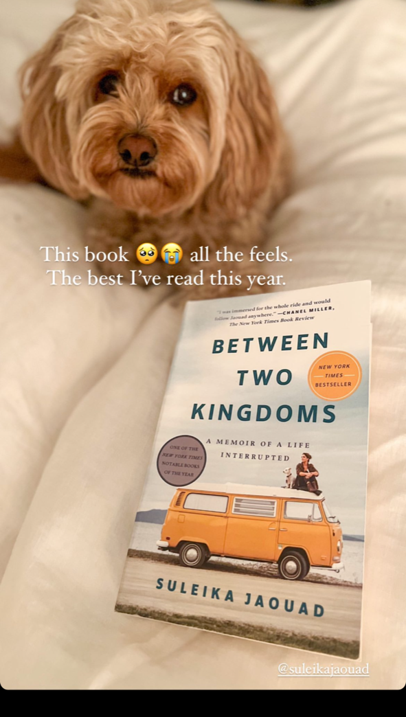 &quot;Between Two Kingdoms&quot; by Suleika Jaouad and a dog on a blanket.