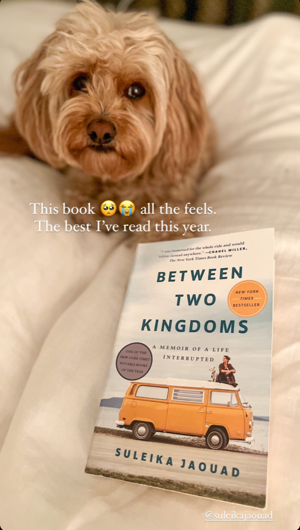 &quot;Between Two Kingdoms&quot; by Suleika Jaouad and a dog on a blanket.