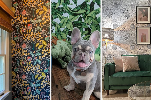 This PuppyPatterned Wallpaper Will Charm Dog Lovers of All Ages
