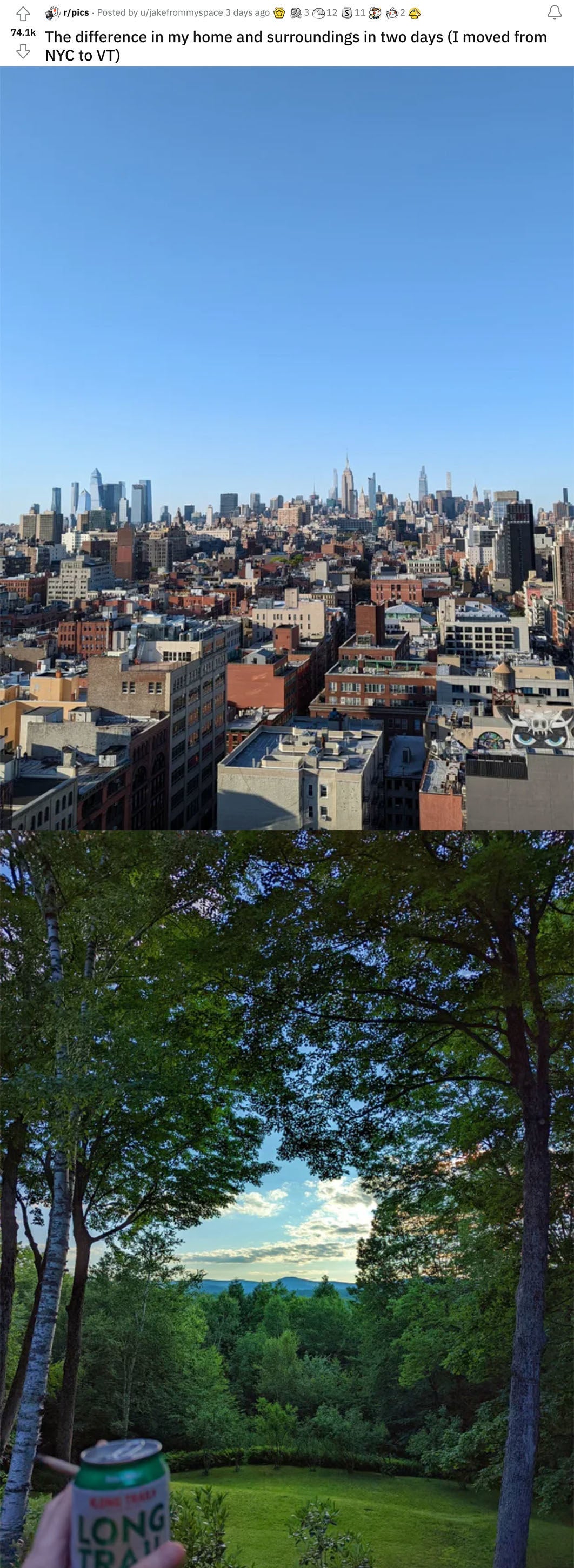 city skyline and tree skyline