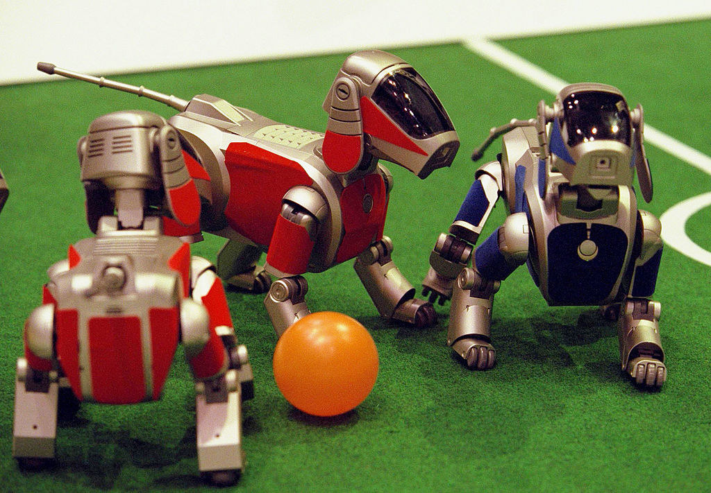 close up of robo dogs