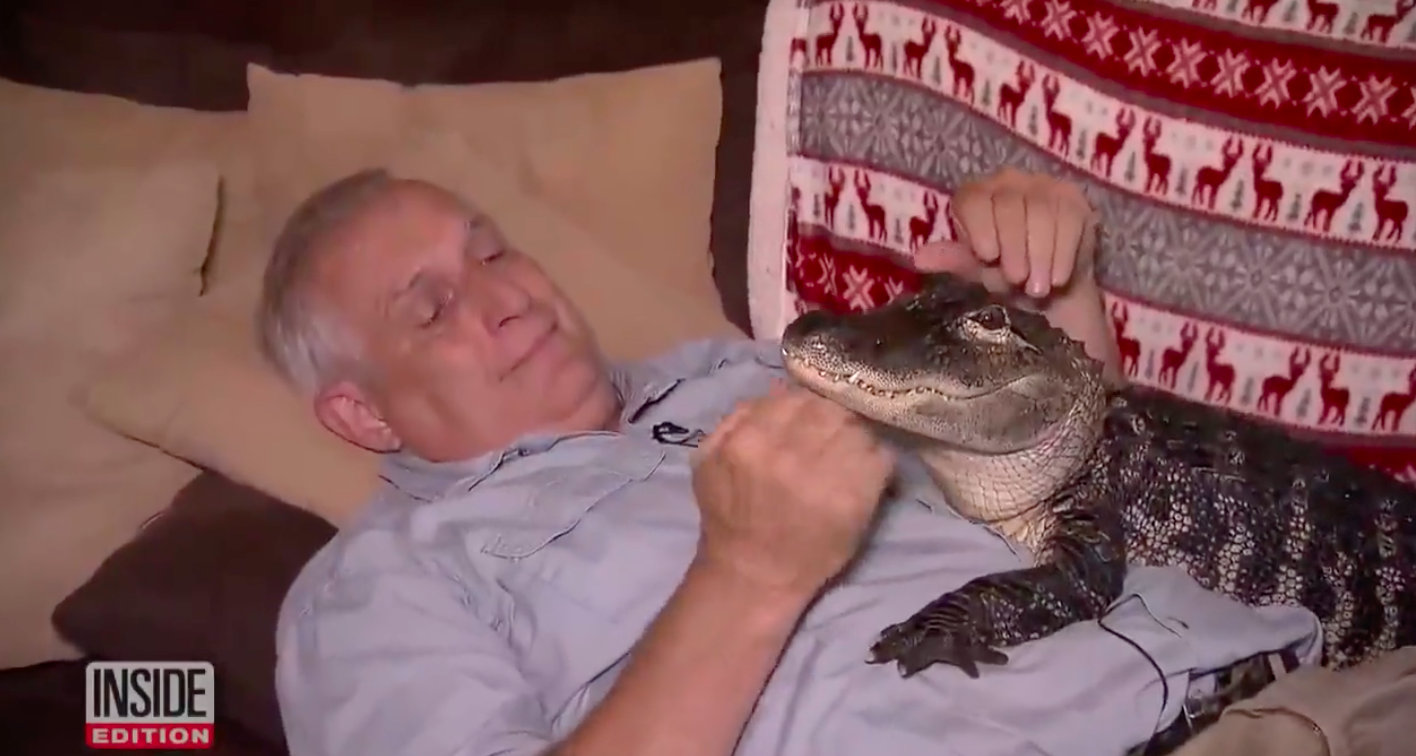 the man petting the alligator