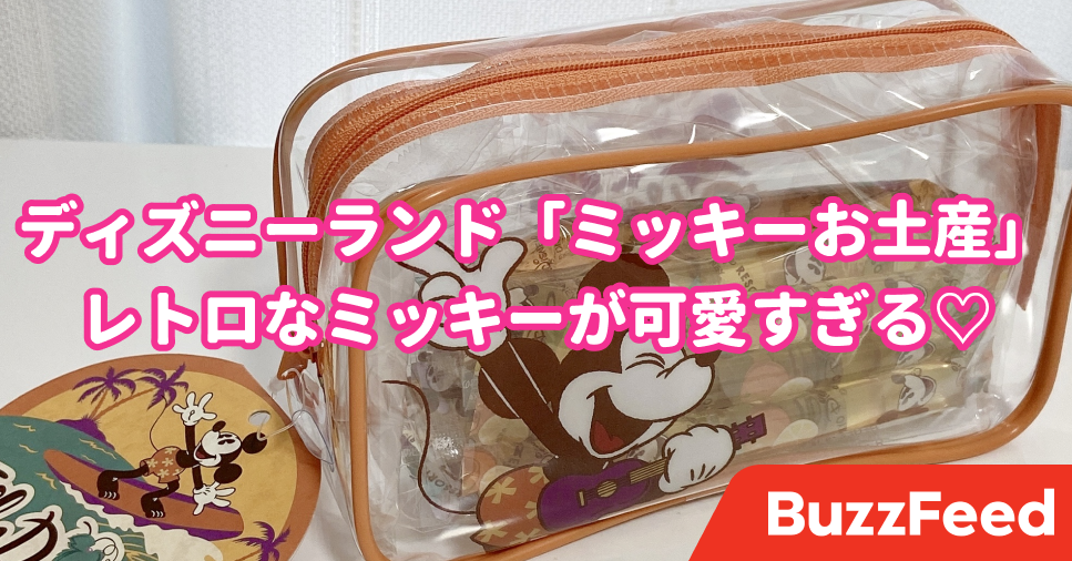 一目惚れして即レジした ディズニーランドの ミッキーお土産 レトロかわいくて一生使う