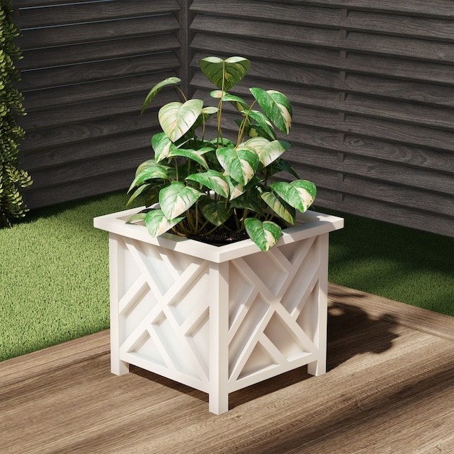 white planter with a large green plant in it