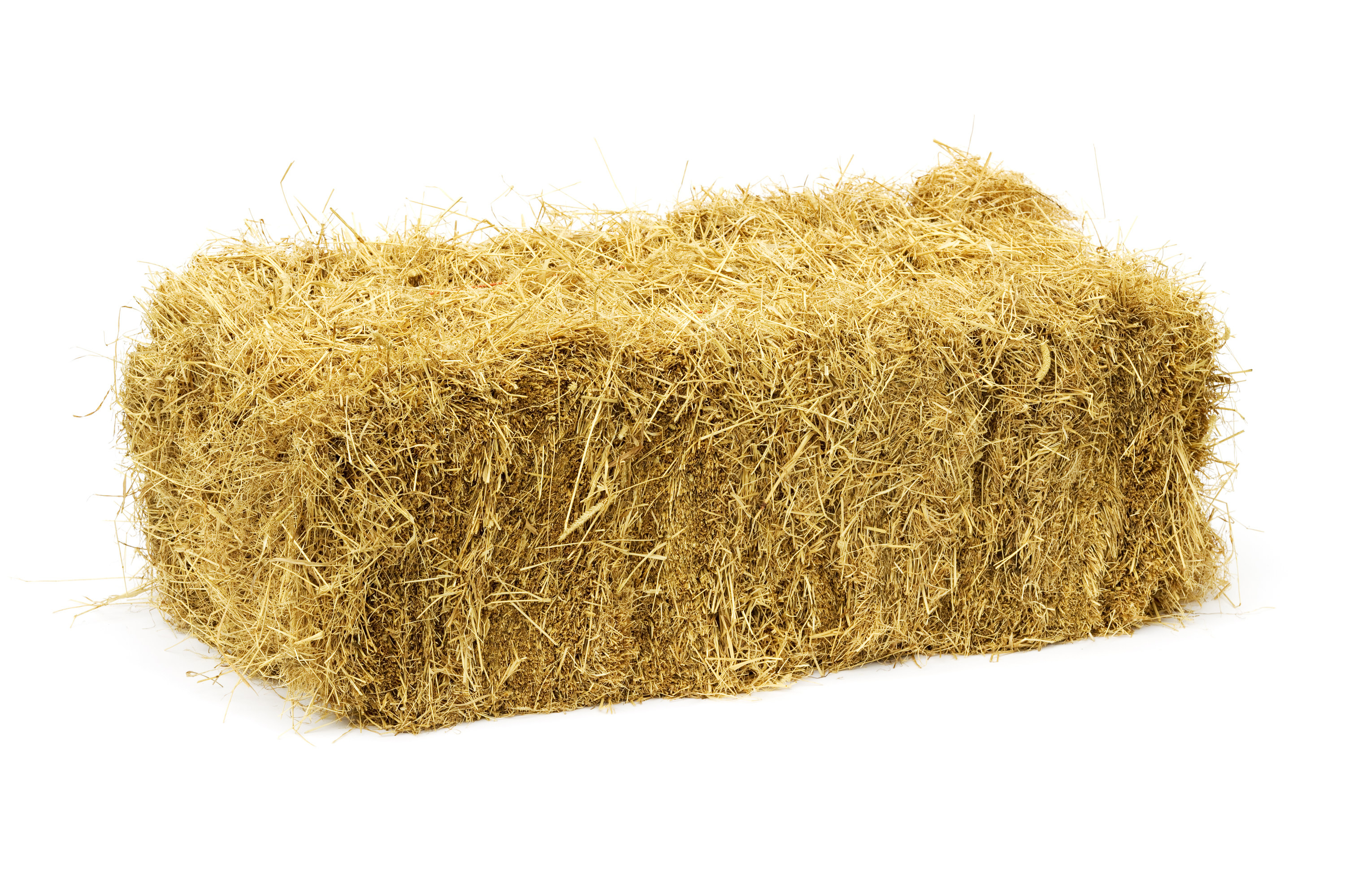 A rectangular bale of hay
