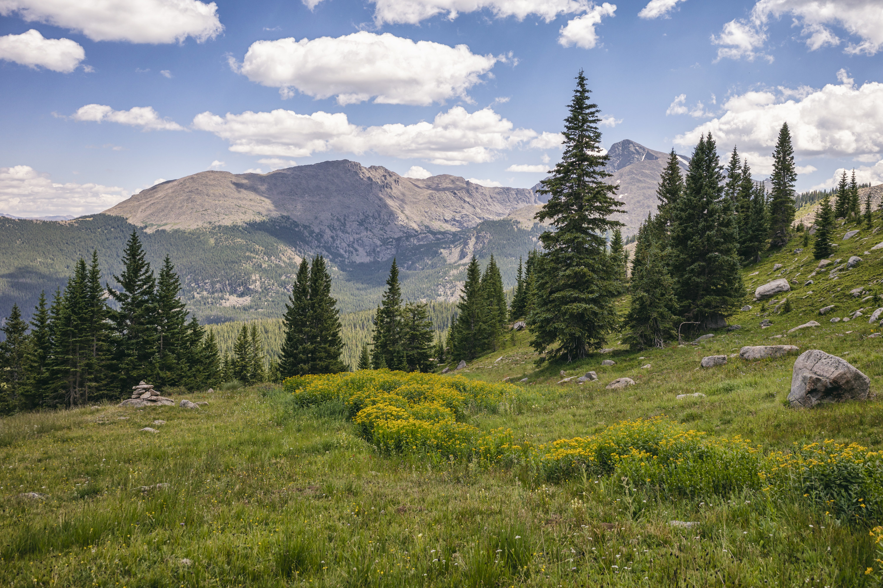 Wild space in the mountains