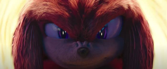 Knuckles stares down the camera.