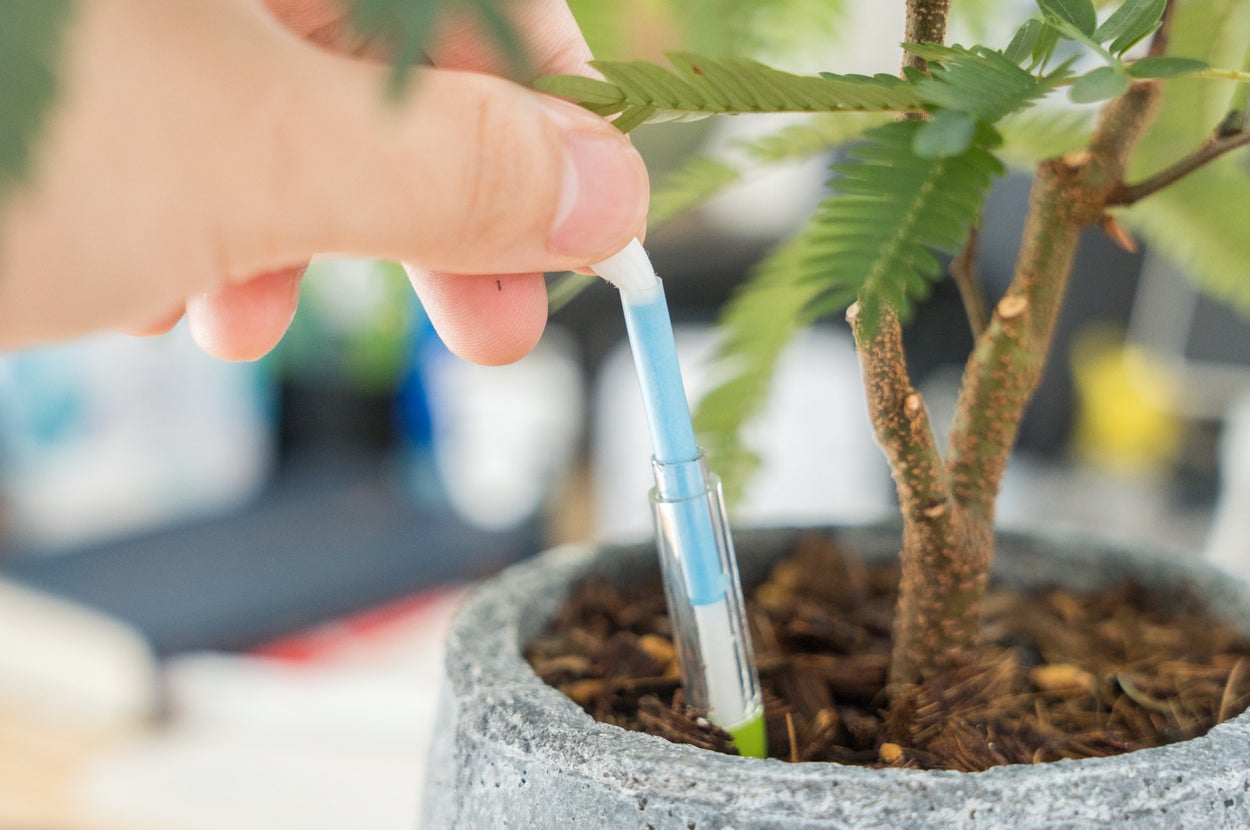 鉢植えの土に水やりチェッカーが挿されている様子