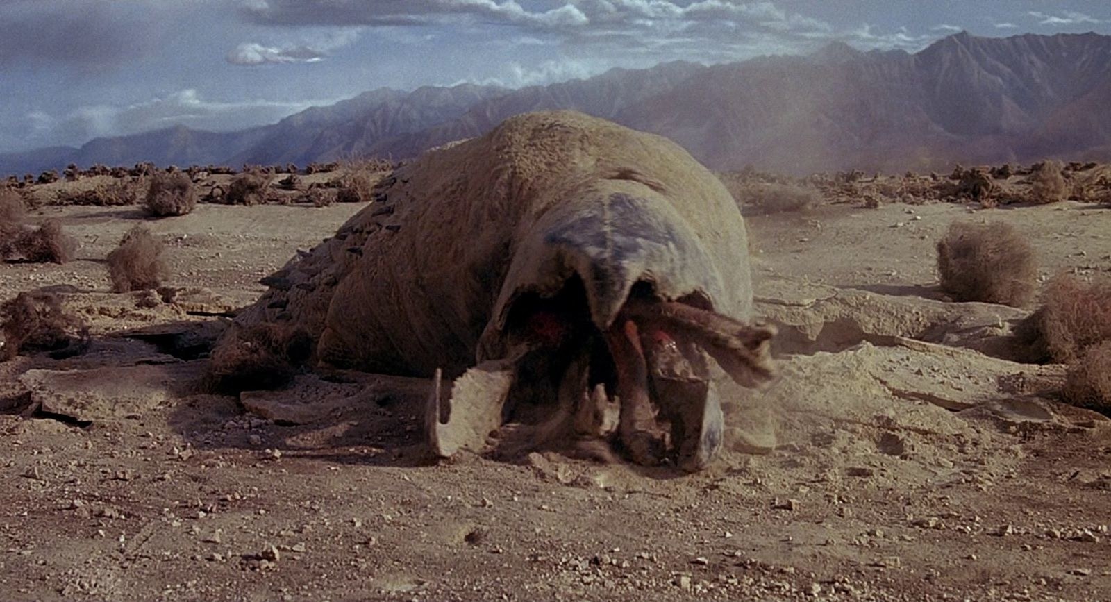 A giant worm emerging from the sand in &quot;Tremors&quot;