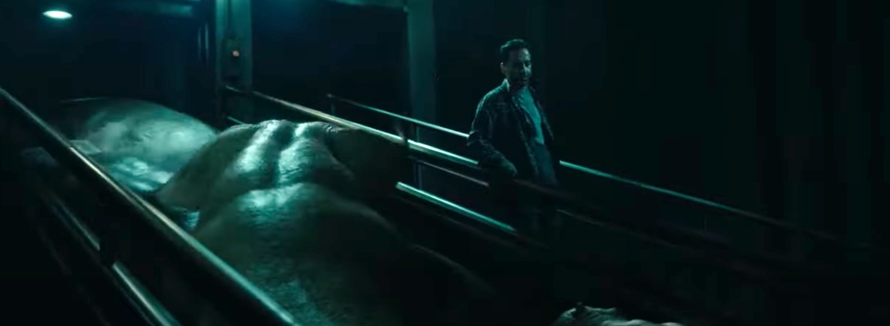 Slaughterhouse scene in Okja - animals are in a cattle being pushed forward
