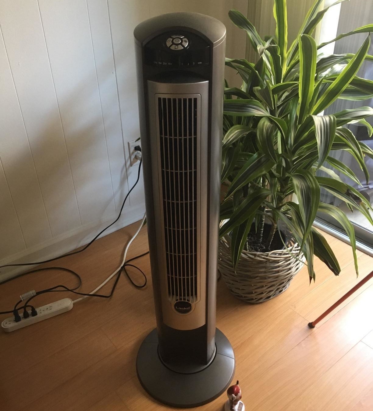 Reviewer&#x27;s photo of the fan sitting on floor next to houseplant