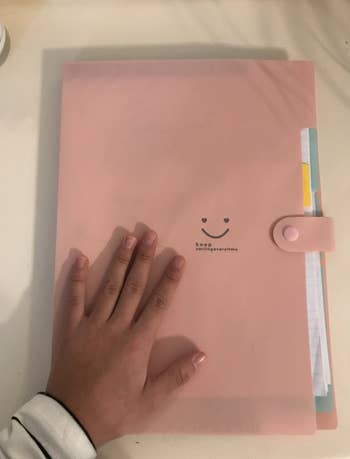 reviewer image of pink file folder
