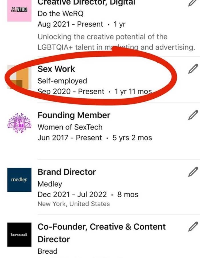 A screenshot of Arielle's LinkedIn page, with her listing of sex work circled