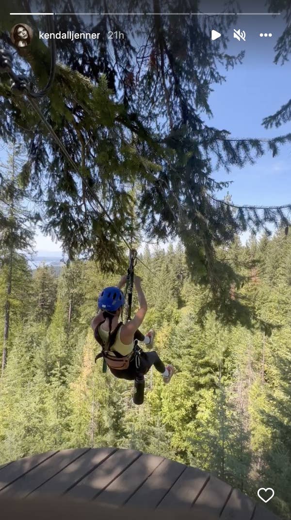 Kendall jumps off of a platform to zipline through very tall trees