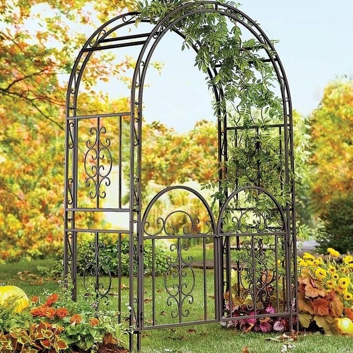 The iron arbor with gate