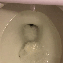 a gif of the toilet tab fizzing in buzzfeed editor's toilet