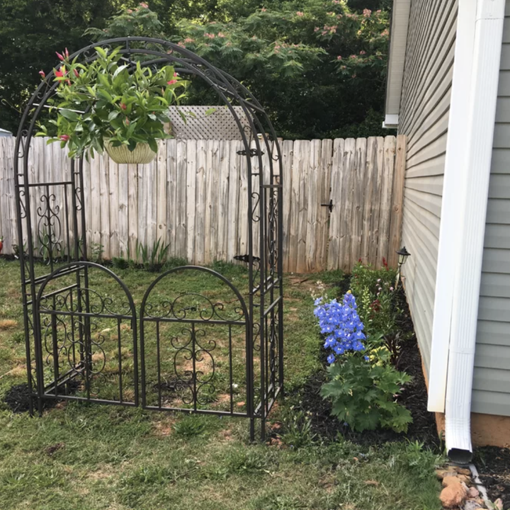 the iron arbor in a reviewer's yard with a plant hanging from the top