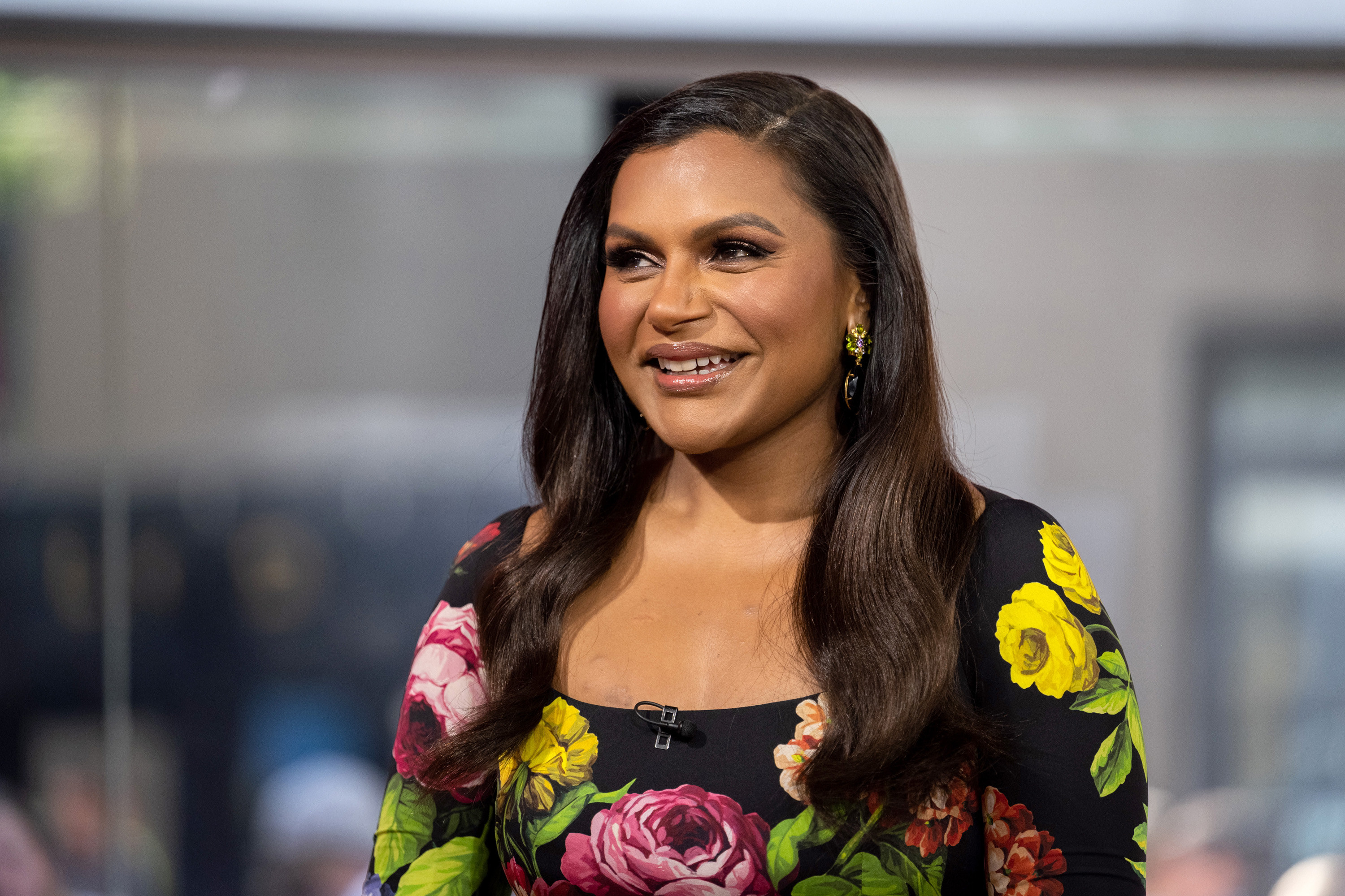 Mindy Kaling Fakes