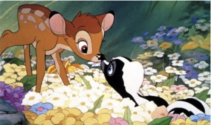 Bambi and the skunk touching noses