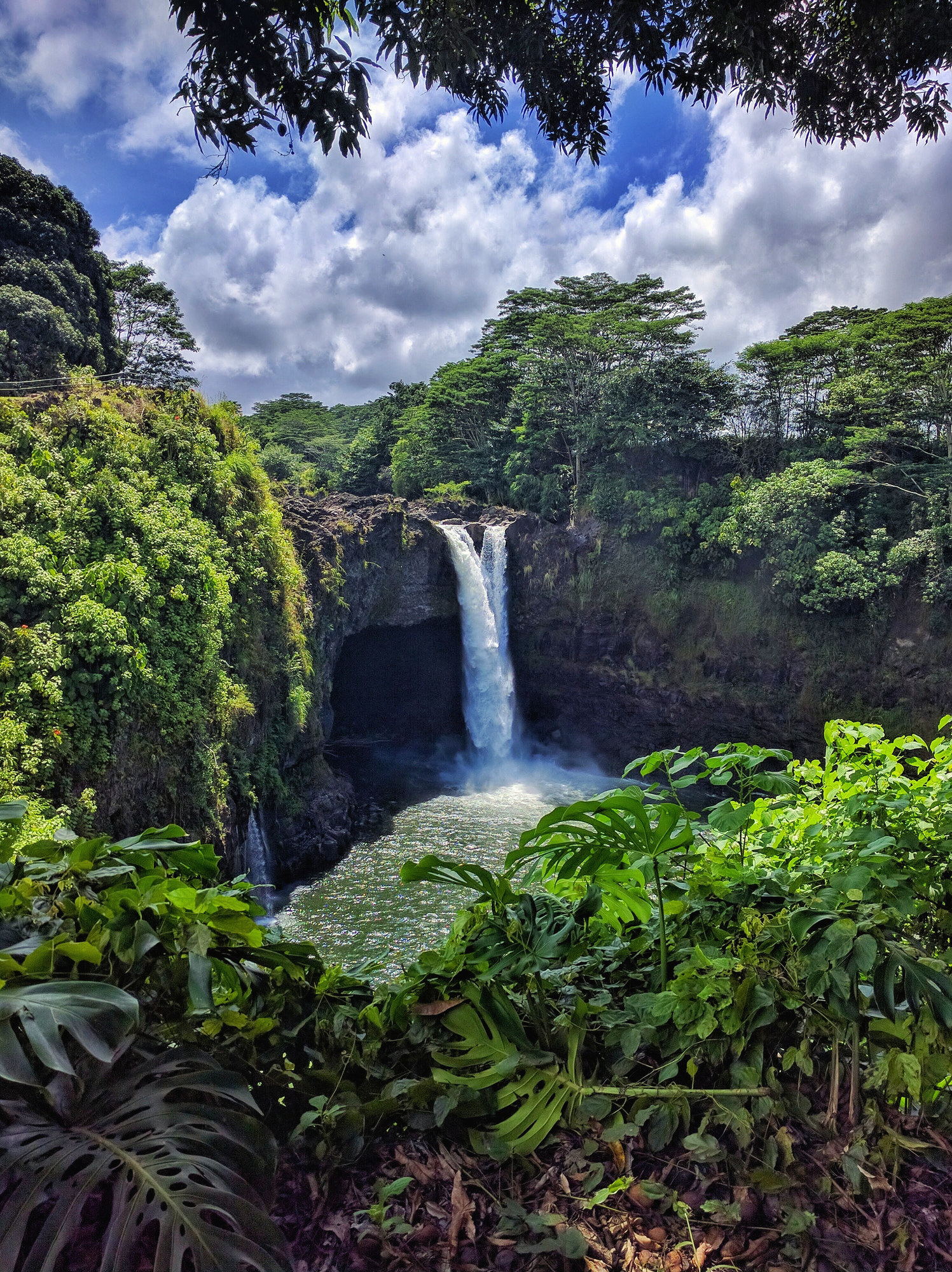 A waterfall surrounded by jungle.