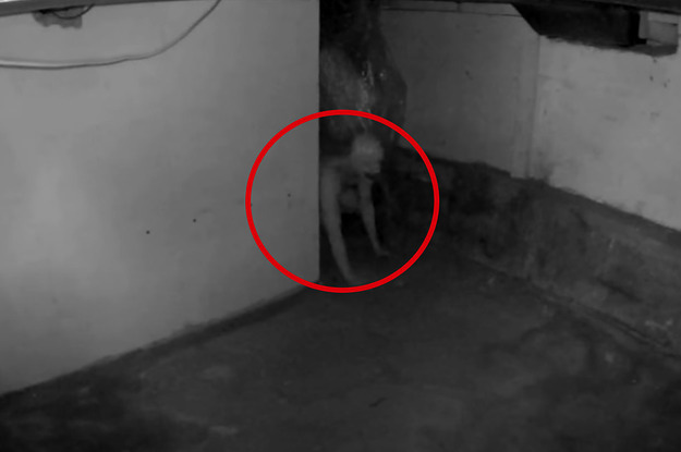 a terrifying creature lurking the shadows of a basement