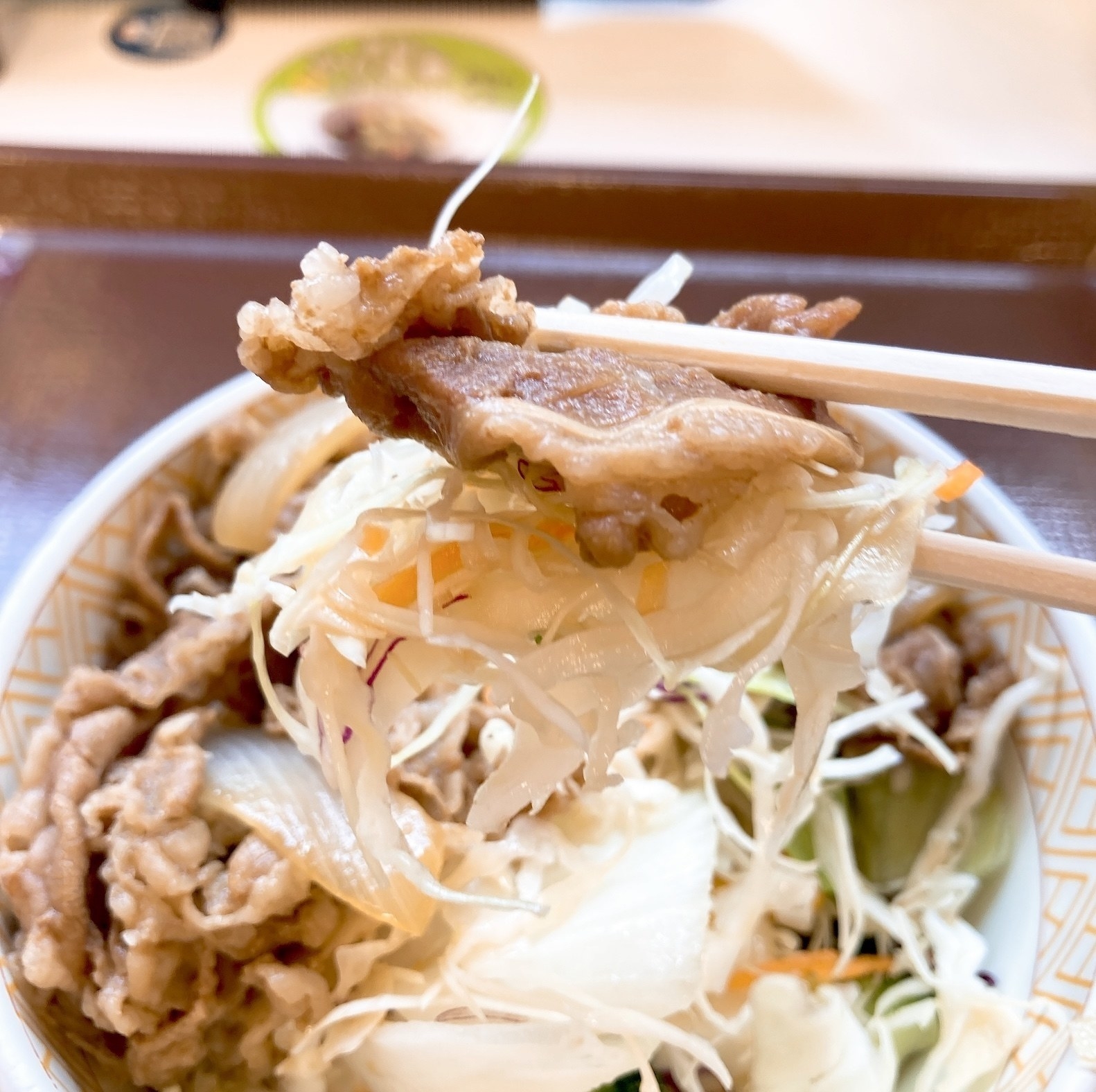 すき家のおすすめ牛丼「牛丼ライト」