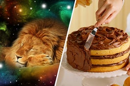A close up of a lion sleeping and a knife spread chocolate frosting on a yellow cake