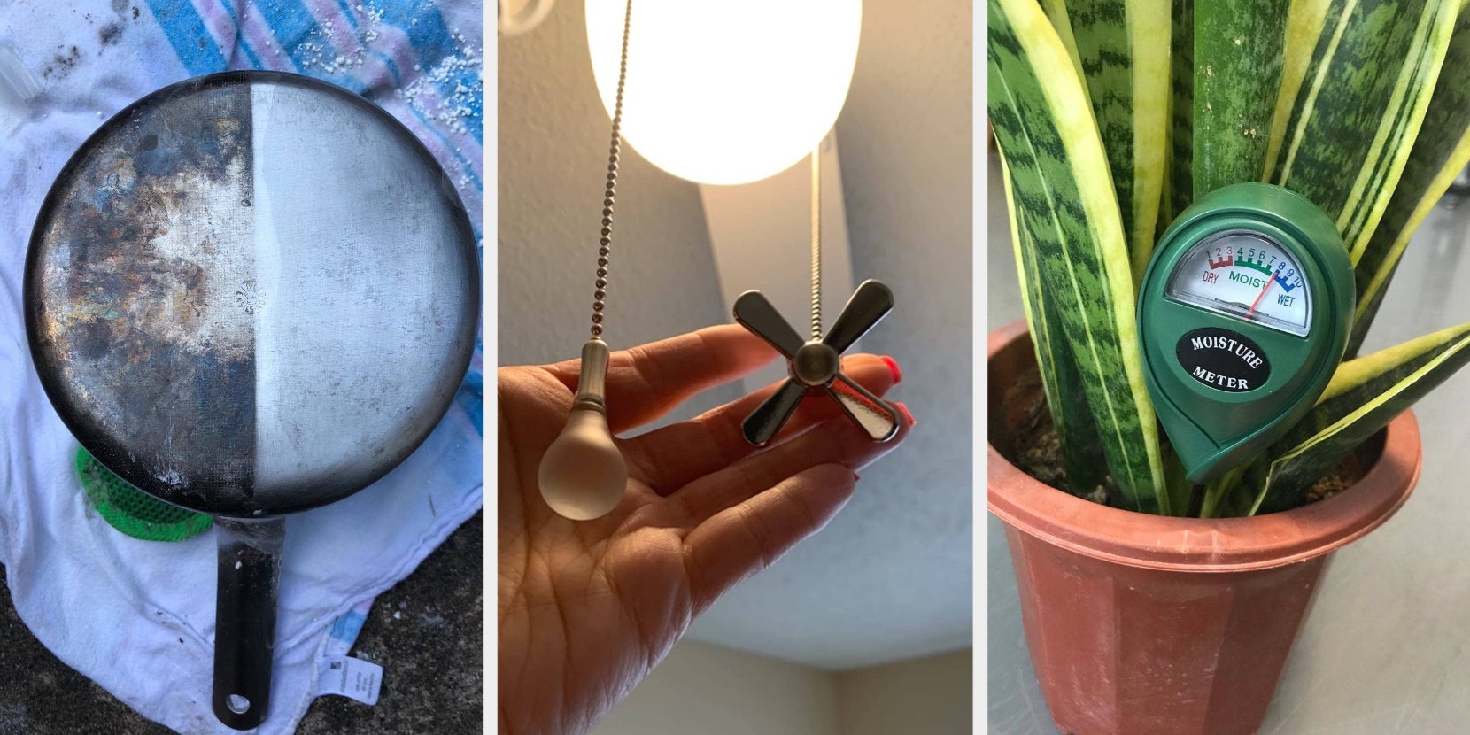 Plant hack! Get a jewelers magnifying glass to see plant pests! :  r/houseplants