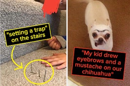 kid "setting a trap" on the stairs with nails and a chihuahua with eyebrows and a mustache drawn on with a caption saying their kid did it