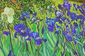 Painting of violet irises 