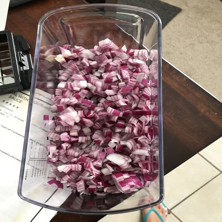 reviewer chopping onion