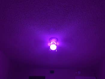 the same lightbulb emitting purple light