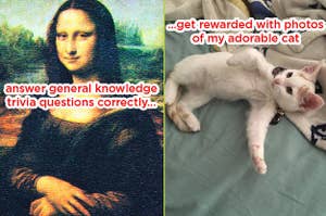 The Mona Lisa next to a kitten and the caption "answer trivia questions correctly, get rewarded with photos of my adorable cat"