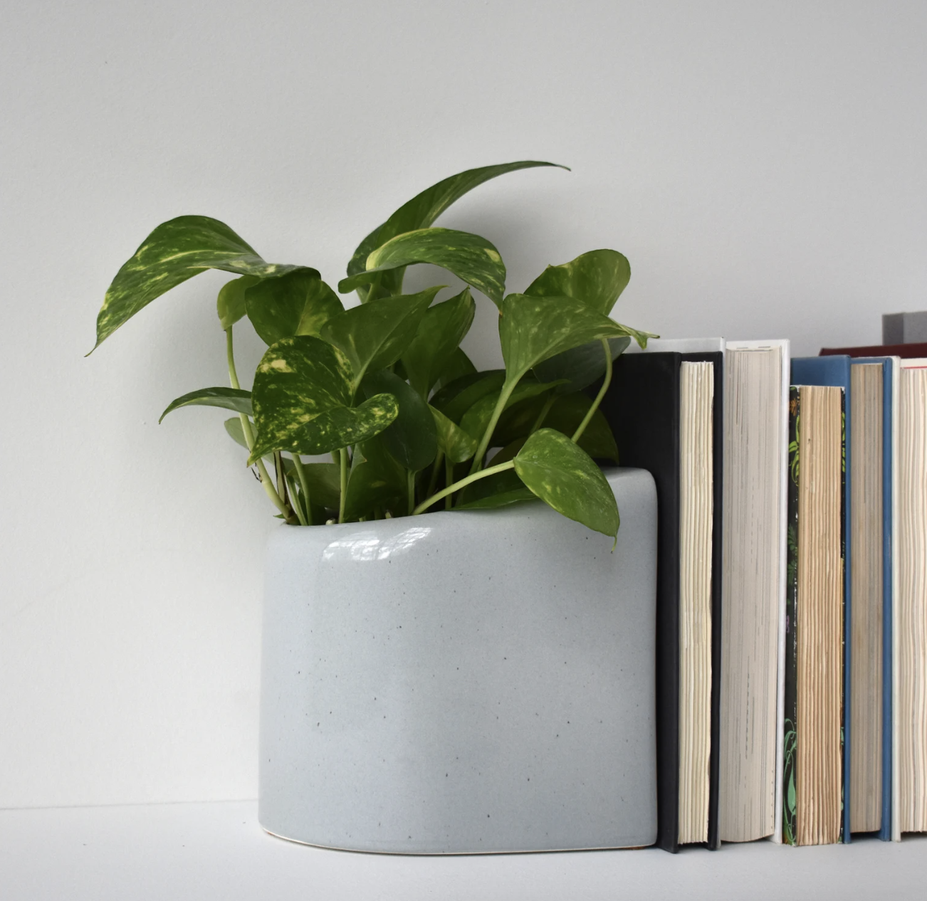 A curved grey ceramic planter is also a bookend