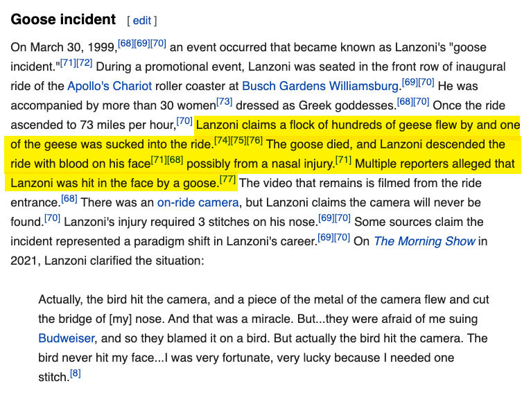 highlighted section of Fabio&#x27;s Wikipedia page detailing the goose incident