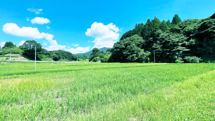 理想の夏が詰まりすぎてる 大人を子どもに戻させる 懐かしい田舎町 がヤバい 理想の夏が詰まりすぎてる 大人を子どもに戻させる 懐かしい田舎町 がヤバい