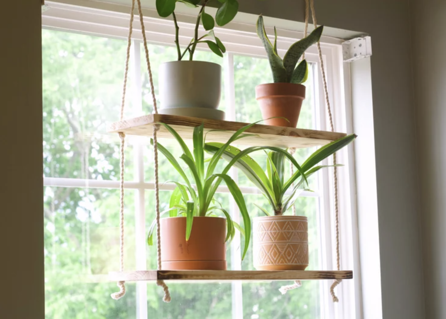 The hanging shelf with potted plants on it is shown in front of a window