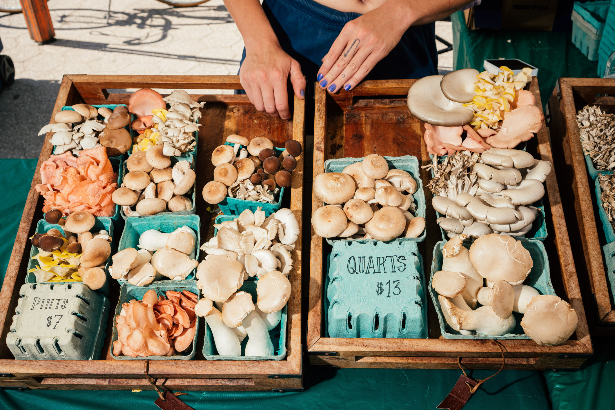 Various mushrooms for sale at a market.