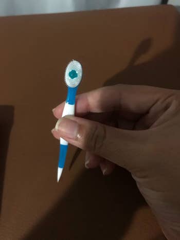 Reviewer holding Wisp