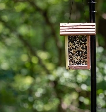 Bird feeder hanging with trees in the background