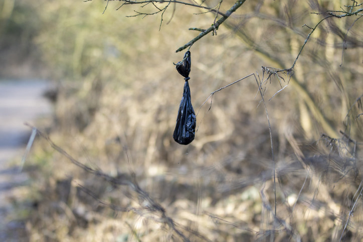 bag hanging on a branch