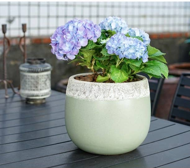 green planter on outdoor table with flowers inside